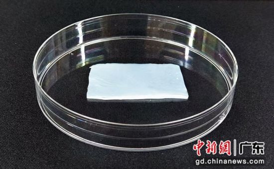 T-BC敷料样品实拍图。研究团队供图