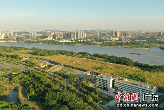 广州地铁十二号线大学城南停车 场。刘敬乐 摄